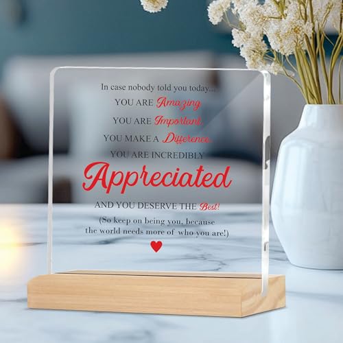 Image of Giftplease Mentor Plaque with Wooden Stand Personalized Gift for Mentor, Coach, Teacher, Appreciation Keepsake, Clear Desk Decor, Inspirational Thank You Gift, Office Table Display MP 73
