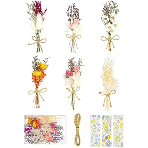 ALTcompluser 6 Bündel Getrocknete Blumenstrauss Mini, Trockenblumen zum Basteln Klein Natürliche Getrocknete Blumen mit 10m Hanfseil und 3 Goldfolien Blumen Aufkleber für Bilderrahmen Scrapbooking Cover
