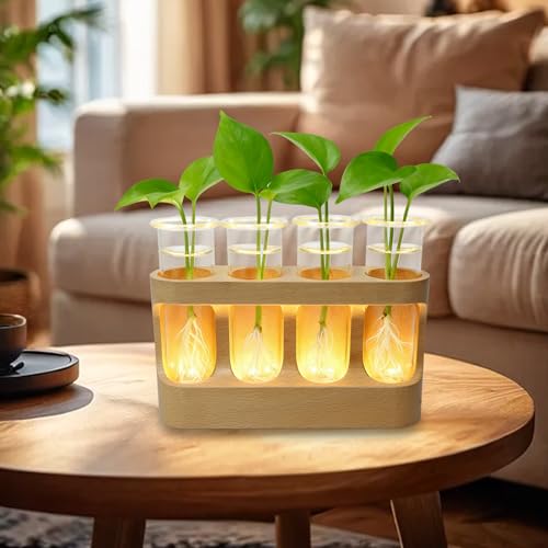 Jarrones de vidrio hidropónico decorativos con luces LED para interior 8