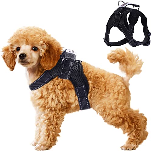 kismaple dog harness
