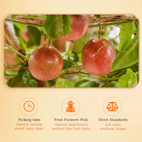 image for Mkostlich Honey Passion Fruit Puree, Passion Fruit Pulp Blended with H