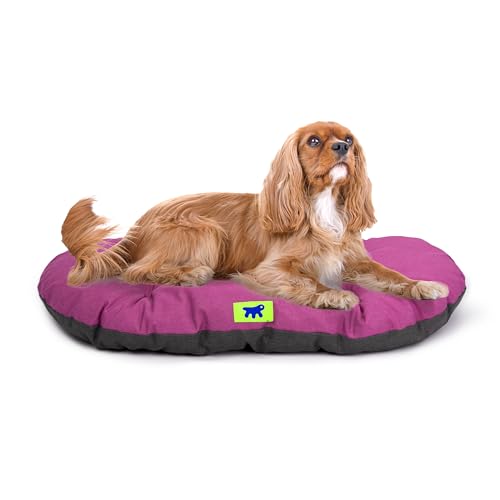 Ferplast Cuccia Cane Relax, Cuscino per cani di taglia media, Cuccia Gatto, Tappetino per cucce e auto -Lavabile - in Cotone con Soffice Imbottitura, 65 x 42 cm. Viola