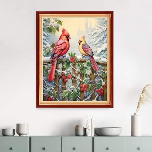 Image of Dimensean Stamped Cross Stitch Kits Full Range of Embroidery Patterns Starter Kits for Beginners Adult DIY Cross Stitches Needlepoint Kits 11CT-Snowy Birds 16x20 inch