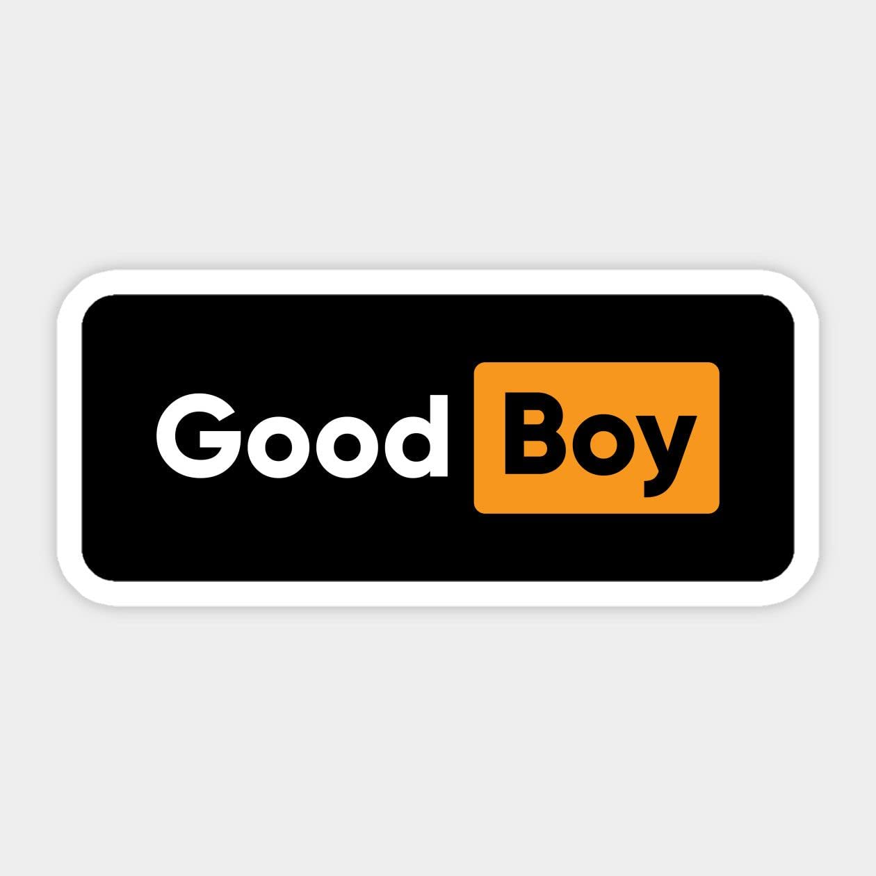 Amazon.com - Good Boy Funny Sticker | Vinyl | Decal for Car 