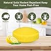 Mouse Rodent Repellent, 24 Pack Peppermint Oil for Mice, Mouse, Rats, Squirrel, Pest Control Indoor & Outdoor Use, Natural Deterrent Replace Trap Poisoning Family & Pet Safe Yellow #1