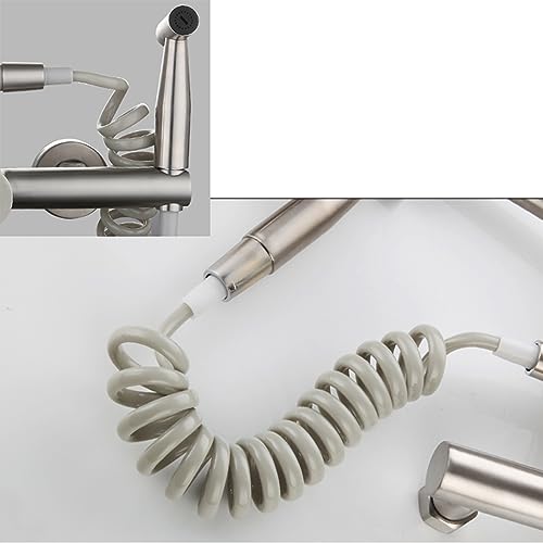 Robinet d'évier brossé mural QYYZTQY avec douchette pour cuisine moderne