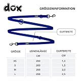 DDOXX Nylon Hundeleine - 2m, 3fach verstellbare Hundeleine für alle Hundegrößen - S (Blau)
