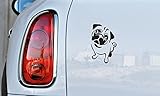 Dog Pug Bulldog Version 1 Car Vinyl Sticker Decal Bumper Sticker for Auto Cars Trucks Windshield Custom Walls Windows Ipad Macbook Laptop Home and More (BLACK)