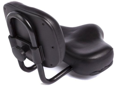 Lowrider Black Bicycle Seat with Backrest