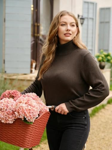 Image of TIYOMI Plus Size Sweater Tops for Women Turtleneck Warm Pullover XL-5XL