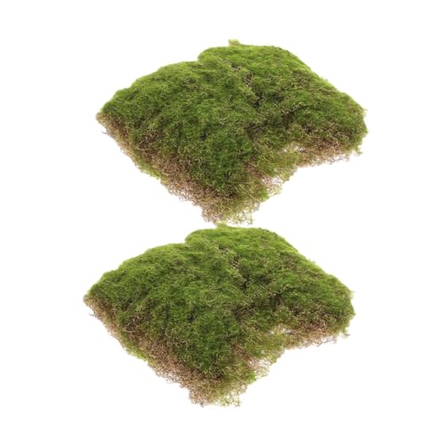 BESTonZON 2個 ?真苔?皮? チュアグリーン造景用 人工苔装飾 クラフト多用途 模型ディスプレイ対応