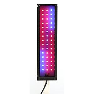 Innovative Marine ChaetoMax Refugium LED Light (9 Watt)