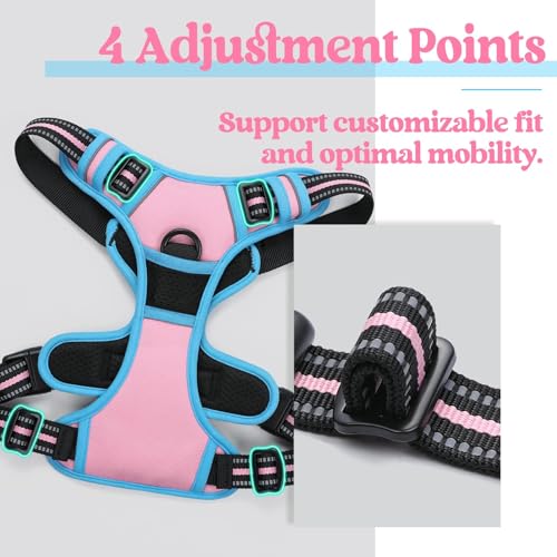 Image of rabbitgoo Dog Harness No Pull with 2 Leash Clips, Adjustable Soft Padded, Reflective Oxford No Choke Pet Vest with Easy Control Handle for Large Dogs, Pink & Blue, XL