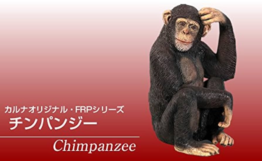 HOTant チンパンジー 猿 リアル フィギュア 置物 動物 雑貨 インテリア HOTant チンパンジー 猿 リアル フィギュア 置物 動物 雑貨