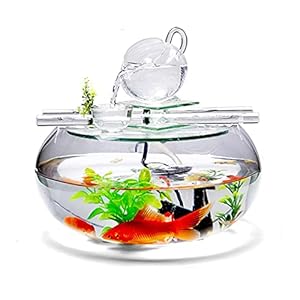 ZHANGJINYISHOP2016 Vis Tank Creatief Kantoor Thuis Desktop Ornamenten Sier Vis Tank Ronde Glazen Vis Tank Decoratie…