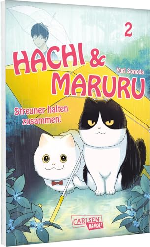 Hachi & Maruru - Streuner halten zusammen! 2: Herzergreifendes Abenteuer von zwei ungleichen Katzen auf der Straße
