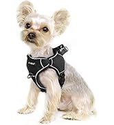 DOGNESS Dog Harness for, No Pull Puppy Harness with Front Clip, Adjustable Breathable Padded Dog ...