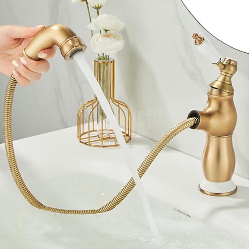 BiaoTeng ʑ ֌ g Lk  VOo[  ␅ ^J VN ֌  1 AeB[N