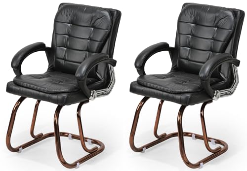 Image of GOYALSON Deluxe Cushioned Office Home Study Chair with Chrome Durable Frame and Cushioned seat Back (2, Black, Copper Coated Double Pipe Frame)