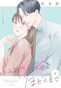 きみの笑顔をほどくまで（３）【電子単行本特典付】 (FC Jam)