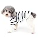 Zunea Hunde-Shirts für Kleine Hunde Sommer Basic T-Shirt Streifen Welpen Kleidung Pailletten Liebe Herz Sweatshirt Weiche Baumwolle Tee Shirt Haustier Kleidung Pullover Chihuahua Bekleidung Weiß XS