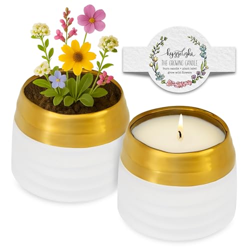 Hyggelight - The Growing Candle, Wild Flower Scented, 10oz Ceramic Pot, Single Wick Aromatherapy Candles, 100% Soy for Women and Men, Clara