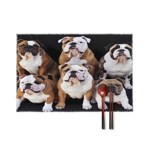 Set de table bouledogue lavable pour protéger la table des taches