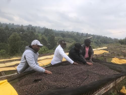 Ethio-Jazz Joro Coffee en grano tostado medio 12 oz miniatura 5
