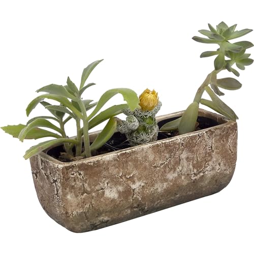 image for Classic Home and Garden Cement Indoor Outdoor Planter with Drainage Ho
