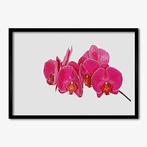 Cadre en MDF avec affiche 100x70 cm Tulup motif floral haute définition