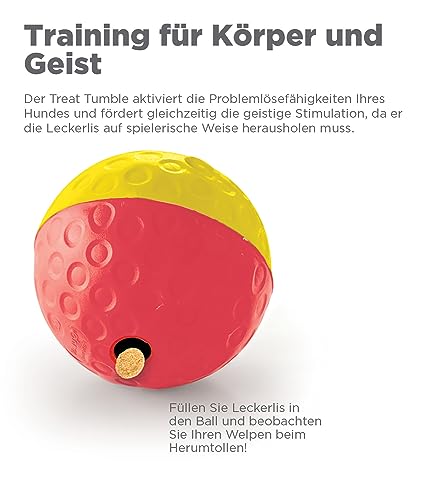 Outward Hound Nina Ottosson Hundespielzeug Intelligenz - Stufe 1 Anfänger - Leckerli-Spender, Beschäftigung & Intelligenzspielzeug für Hunde & Welpen, bei Langeweile & mentaler Stimulation