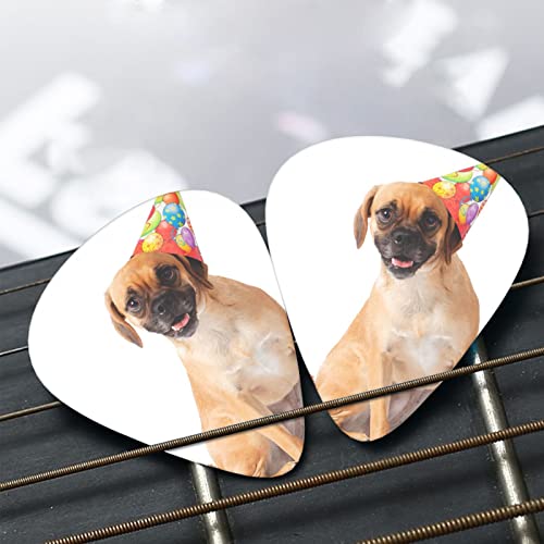 Funny Dog Médiators en celluloïd coloré de 3 épaisseurs différentes pour basse, amateurs de musique, joueurs de guitare, guitares électriques et acoustiques avec 0,46 mm, 0,71 mm, 0,96 mm - Les Beatles, Paul McCartney, John Lennon, RIngo Starr, George Harrison Funny Dog Médiators en celluloïd coloré de 3 épaisseurs différentes pour basse, amateurs de musique, joueurs de guitare, guitares électriques et acoustiques avec 0,46 mm, 0,71 mm, 0,96 mm – Image 8