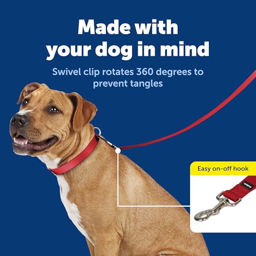 Image of PetSafe Nylon Dog Leash Strong, Durable, Traditional Style Lead with Easy to Use Bolt Snap for Small, Medium and Large Dogs 3 /4 inch x 6', Red