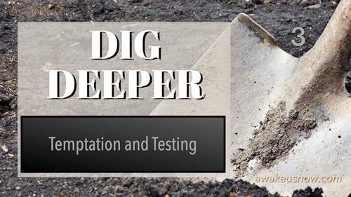 Dig Deeper - Week 3: Temptation & Testing