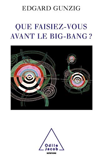 Télécharger Que faisiez-vous avant le Big Bang ? Francais PDF