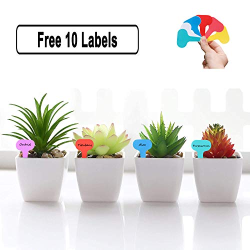 Extended Garden Auger Spiral Drill Bit 2”X30”, Spiral Hole Drill Planter， - No Need To Squat For Garden Planting Bulb & Bedding Plant Augers, Hole Digging Planting Tool For 3/8" Hex Drive Drill #TOP6