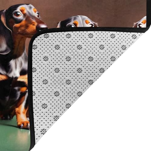 Tapis en flanelle teckel Weiner isolant et doux pour réchauffer une pièce froide - 5