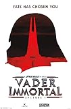 Trends International Star Wars: Saga - Vader Immortal Wall Poster, 22.375' x 34', Premium Unframed Version