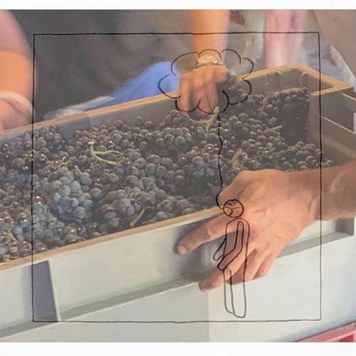 Episode 8- L&rsquo;ivresse et l&rsquo;analepse copertina