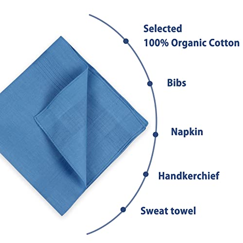 Zenssia Men's Blue Pure Cotton Handkerchiefs With Hem, Pack Of 12 Pieces Hankies #TOP4