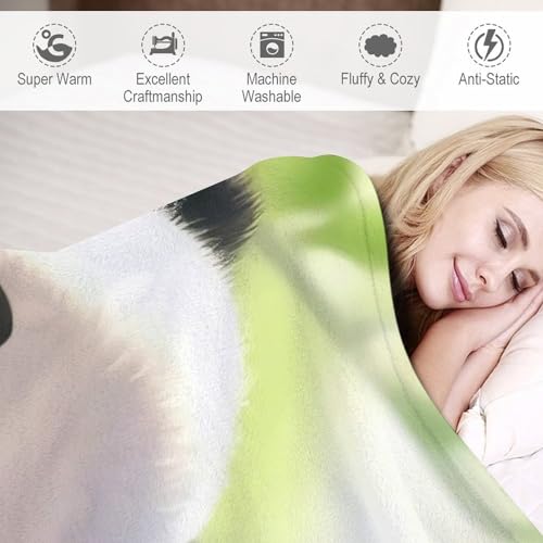 Couverture lavable machine panda en flannel douce pour rester au chaud - 4