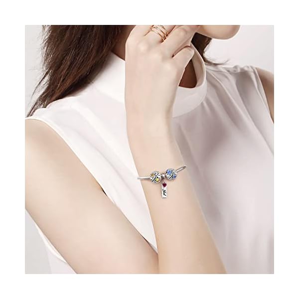 DALARAN December Birthstone Charms for Pandora Charms Bracelet 925 Sterling Silver Birthday Mother's Day Chrismas Jewelry Gift for Women