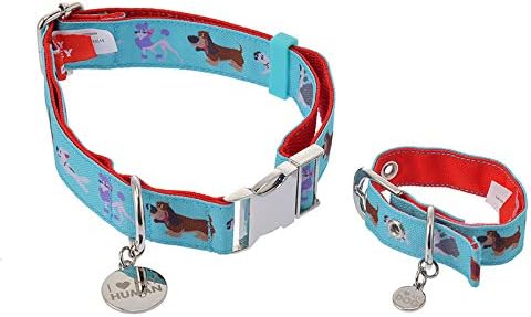 Amazon Co Jp ディズニーストア 公式 ディズニーキャラクター 犬用首輪 L セット ドッグ ペット用品 Amazon Co Jp ディズニーストア 公式 ディズニーキャラクター 犬用首輪 L セット ドッグ ペット用品