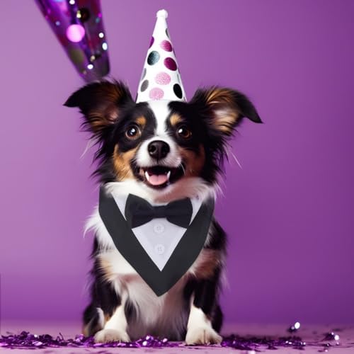 DICOSMETIC Hundeanzug Hundehochzeitsoutfit Haustier Fliege Hemd Verstellbare Hunde Smoking Formelle Welpen Kostüme Haustier Outfit Mit Fliege Für Weihnachten Halloween Geburtstagskostüme Schwarz M