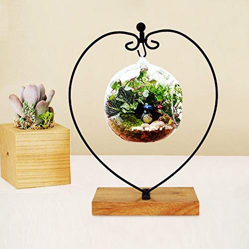Support en fer Archi pour photo et terrarium : le cadeau idéal avec base cœur