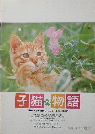 館名入り映画パンフレット 『子猫物語』（新宿プラザ劇場） Amazon.co.jp: 【映画パンフ】子猫物語 畑正憲 小泉今日子 新宿プラザ