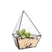 NCYP Modern Three Sides Glass Geometric Terrarium Garden Small Black Air Plants Holder Containers Balcony Display Succulent Fern Moss Flower Pots for Bonsai