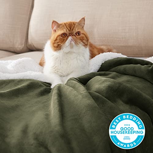 Image of Bedsure GentleSoft Sherpa Fleece Blanket Queen Size for Bed, Non-Heated, Thick and Warm Throw for Women and Men, Soft Fuzzy Plush Queen Blanket for Winter, Olive Green, 90x90 Inches