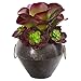 Nearly Natural Mini 11in. Echeveria and Succulent Artificial Plant in Metal Bowl (P1263)