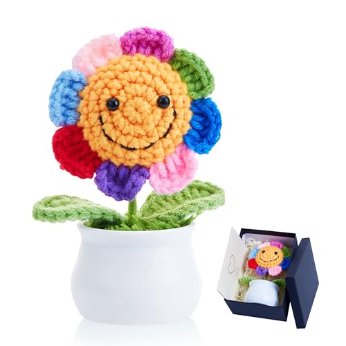 LAIDANLA Orange Crochet Puff Flowers Potted Plants, Small Handmade Crochet Flower Graduation Appreciation Birthday Gifts for Women Teacher Coworker Mom Friend Knitted Flower for Desk